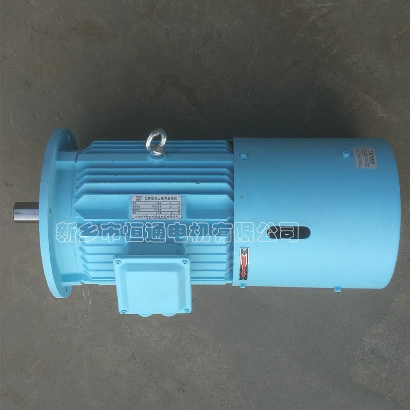 Long-term stall torque motor。